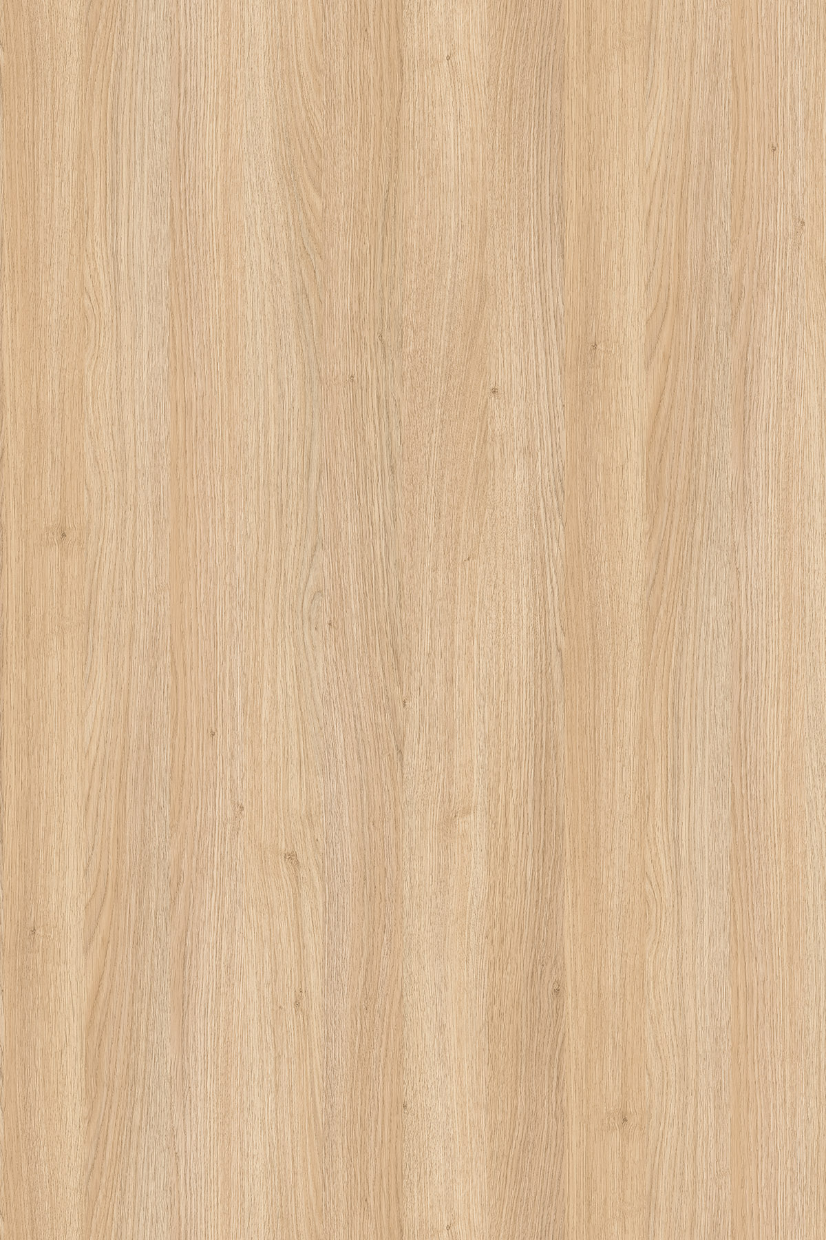 8431 SN Fine Oak