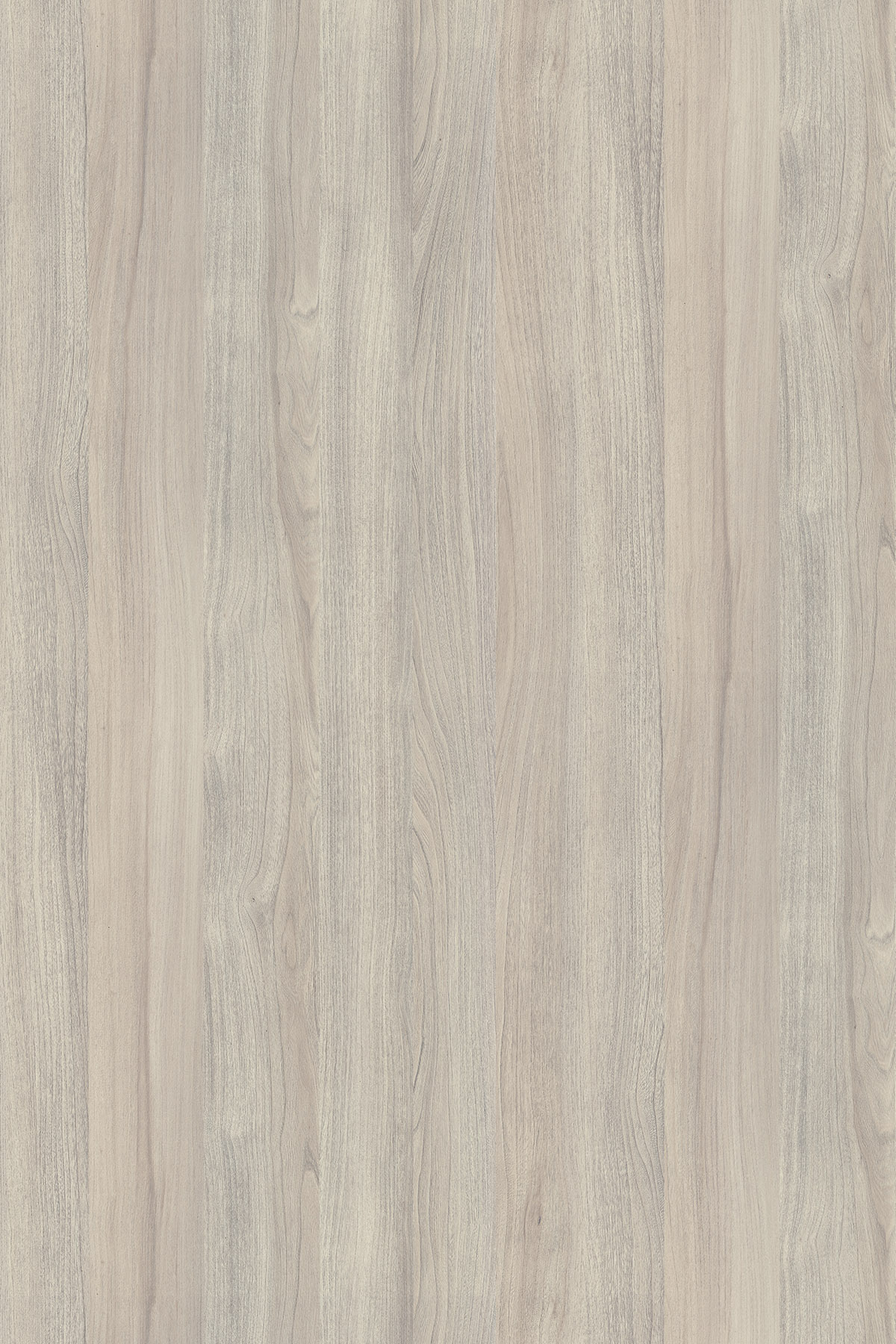 K019 PW Вяз Либерти Серебряный